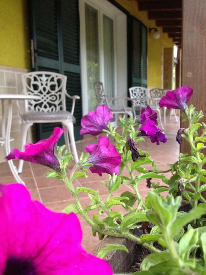 Villa Oasi-มาเตรา ภายนอก รูปภาพ