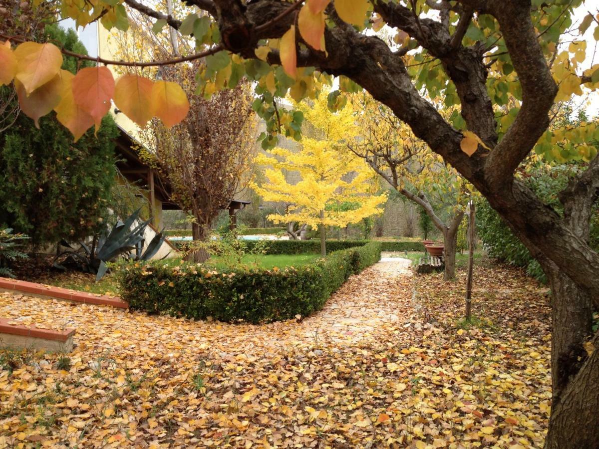 Villa Oasi-มาเตรา ภายนอก รูปภาพ
